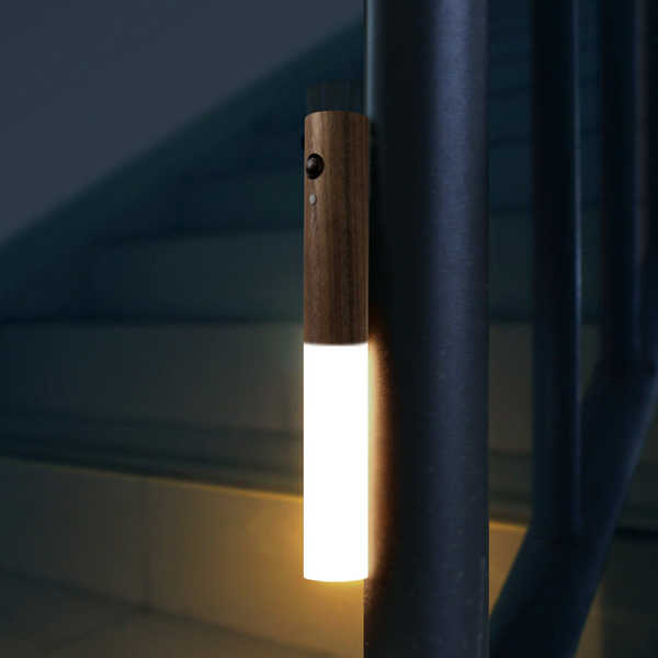 Frog Night Light